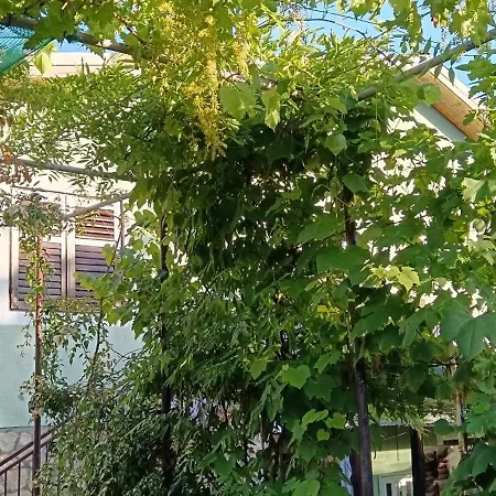 Appartamento Apartman Carpe Diem