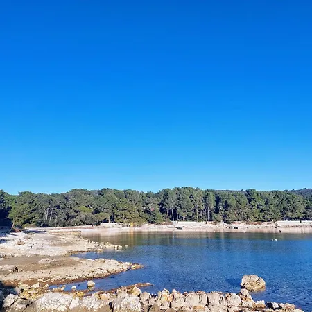 Apartman Carpe Diem * Mali Losinj