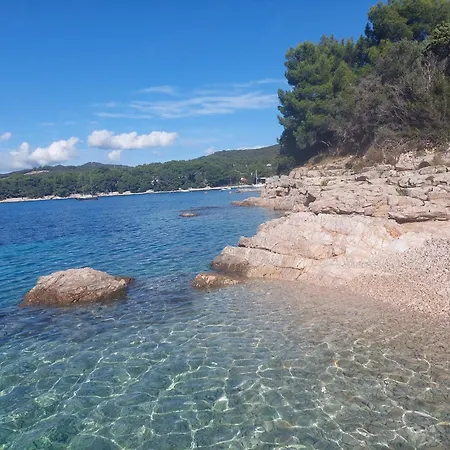 Apartman Carpe Diem Apartment Mali Losinj