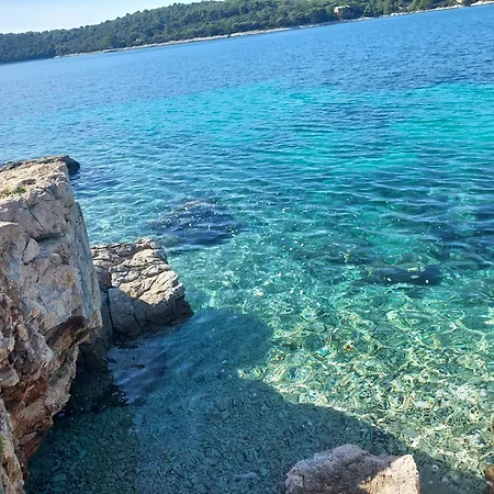 Apartman Carpe Diem * Mali Losinj