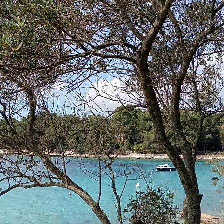 Apartment Apartman Carpe Diem Mali Losinj